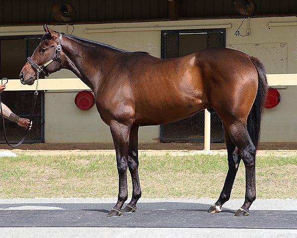 Club Reign, Saratoga, horse racing, America's Best Racing, ABR Club Reign, Saratoga, horse racing, America's Best Racing, ABR